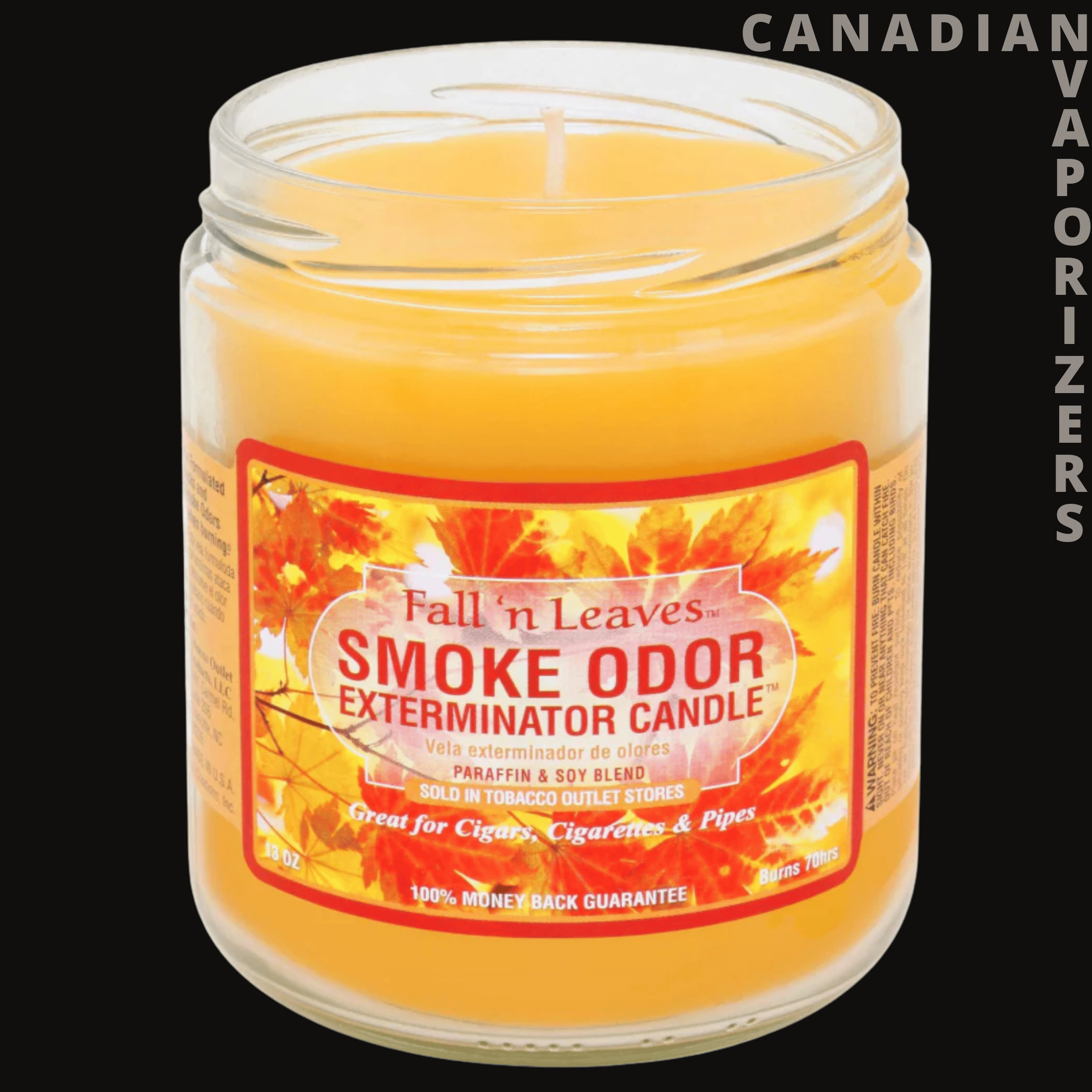 Smoke Odor 13oz Fall N Leaves Candle