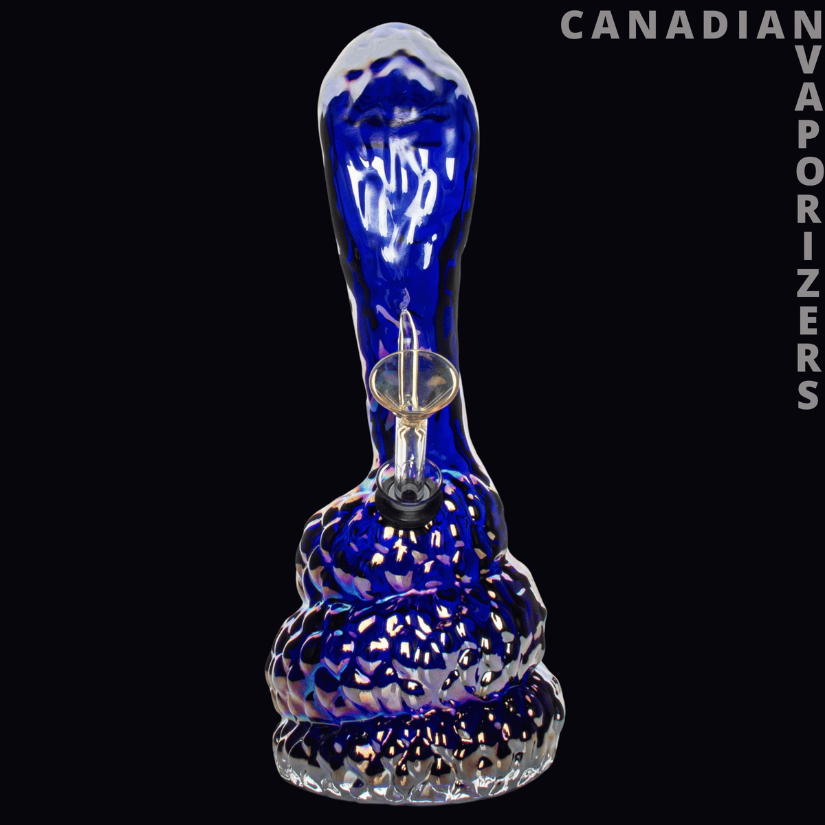 Retro Glass 10" Platinum Metallic Cobra Water Pipe - Blue and clear glass cobra water pipe with a textured rounded base and platinum metallic accents.