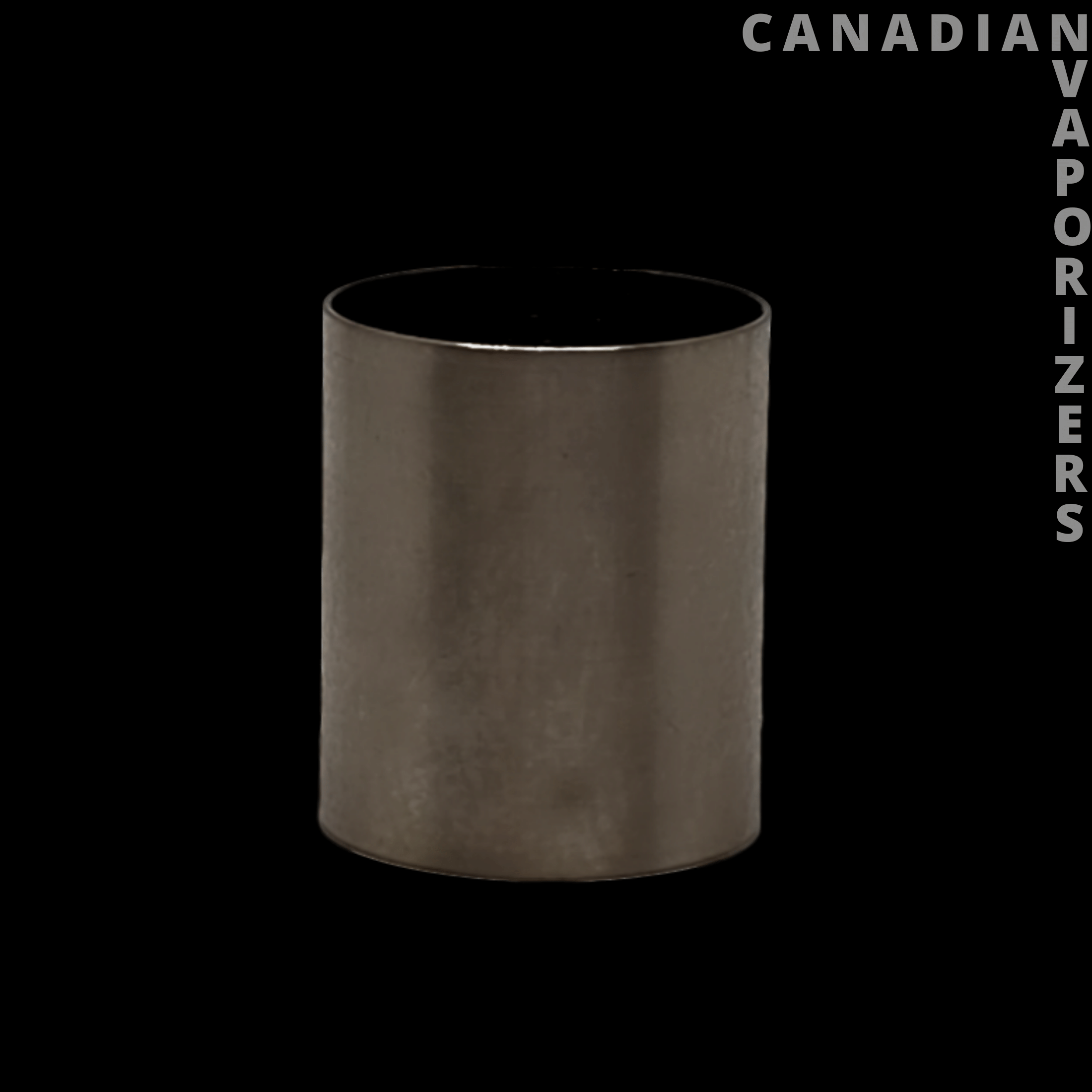 Focus V CARTA Replacement Titanium Insert - Canadian Vaporizers