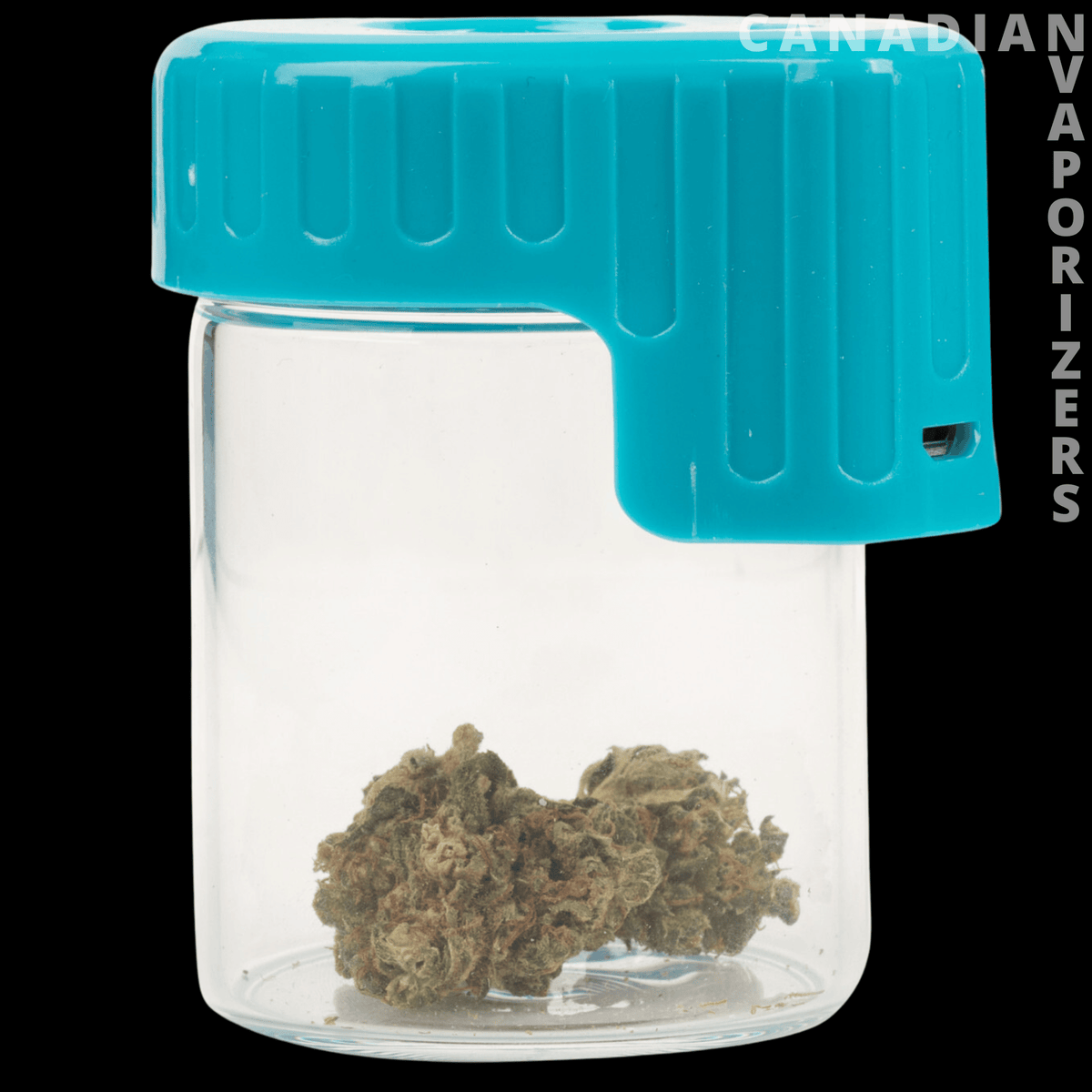 Light-Up Glass Seal Storage Jar - Clear glass storage jar with a bright turquoise ribbed lid and dried herbs inside.