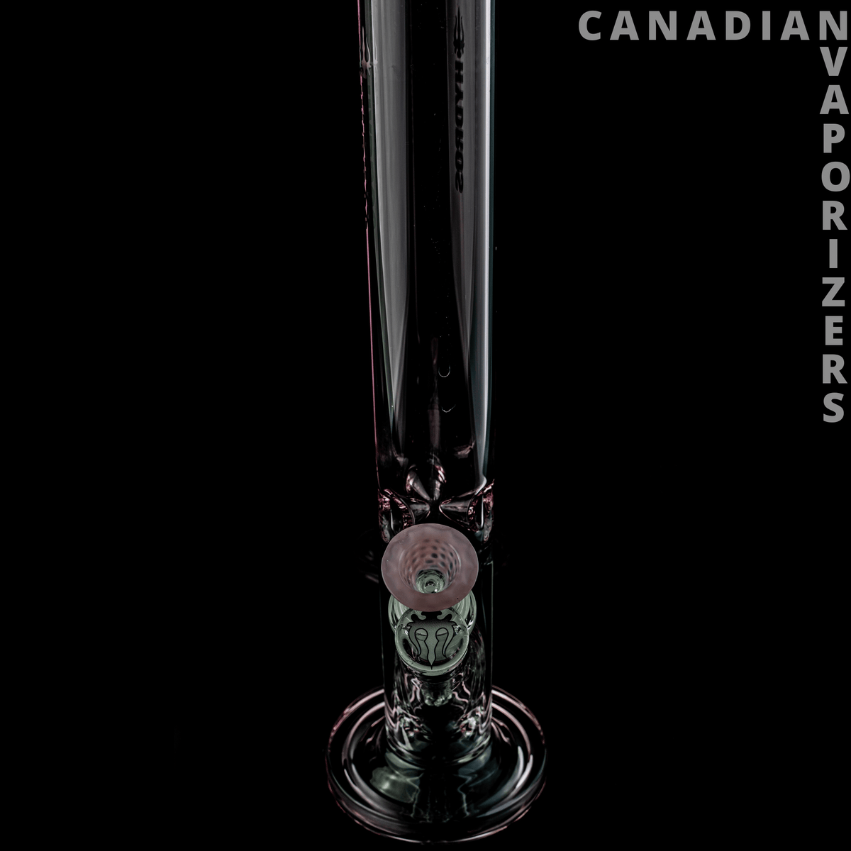 Pink | Hydros Straight Tube - Clear glass straight tube with a flared base and a pink-toned circular accent at the joint.