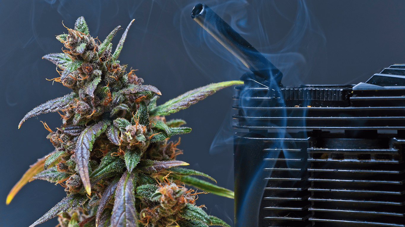 Are Vapes Safe? A Short Guide to Cannabis Vaporizers - Canadian Vaporizers