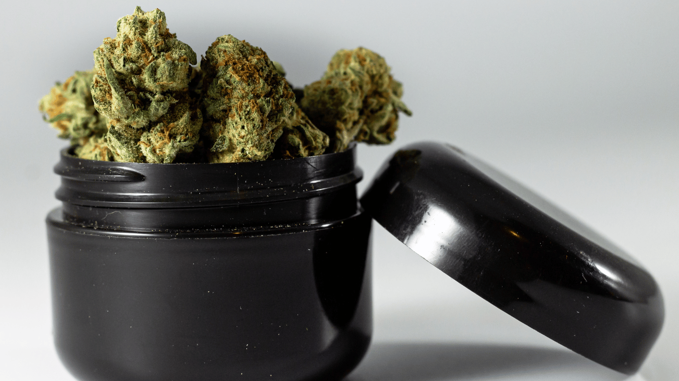 Cannabis Q&A: How Long Does Weed Last? Does Bud go Bad? Will THC Stand the Test of Time? - Canadian Vaporizers