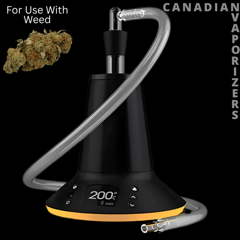 Arizer XQ2 Vaporizer - Black desktop herbal vaporizer with a clear glass whip, digital temperature display, and glowing amber base.