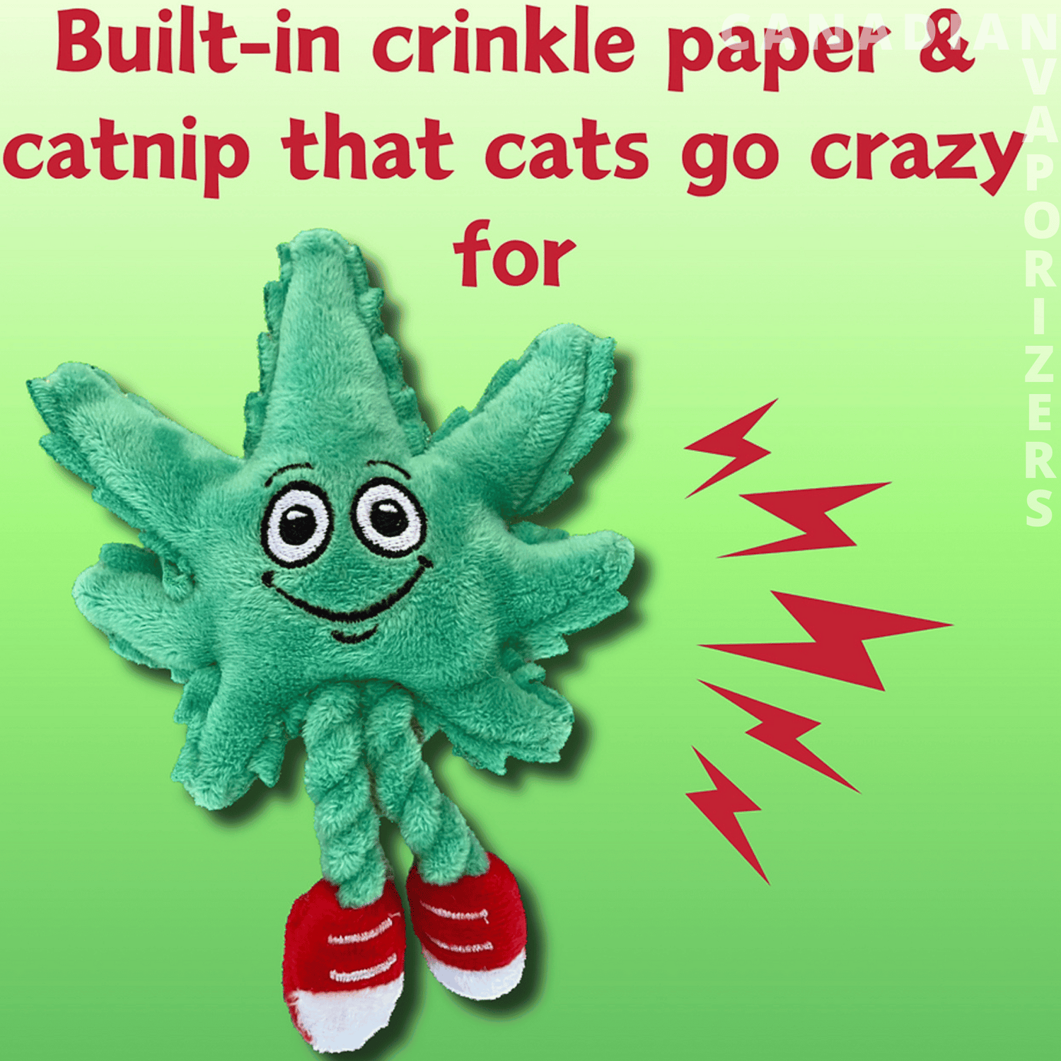 Catnip Cat Toy