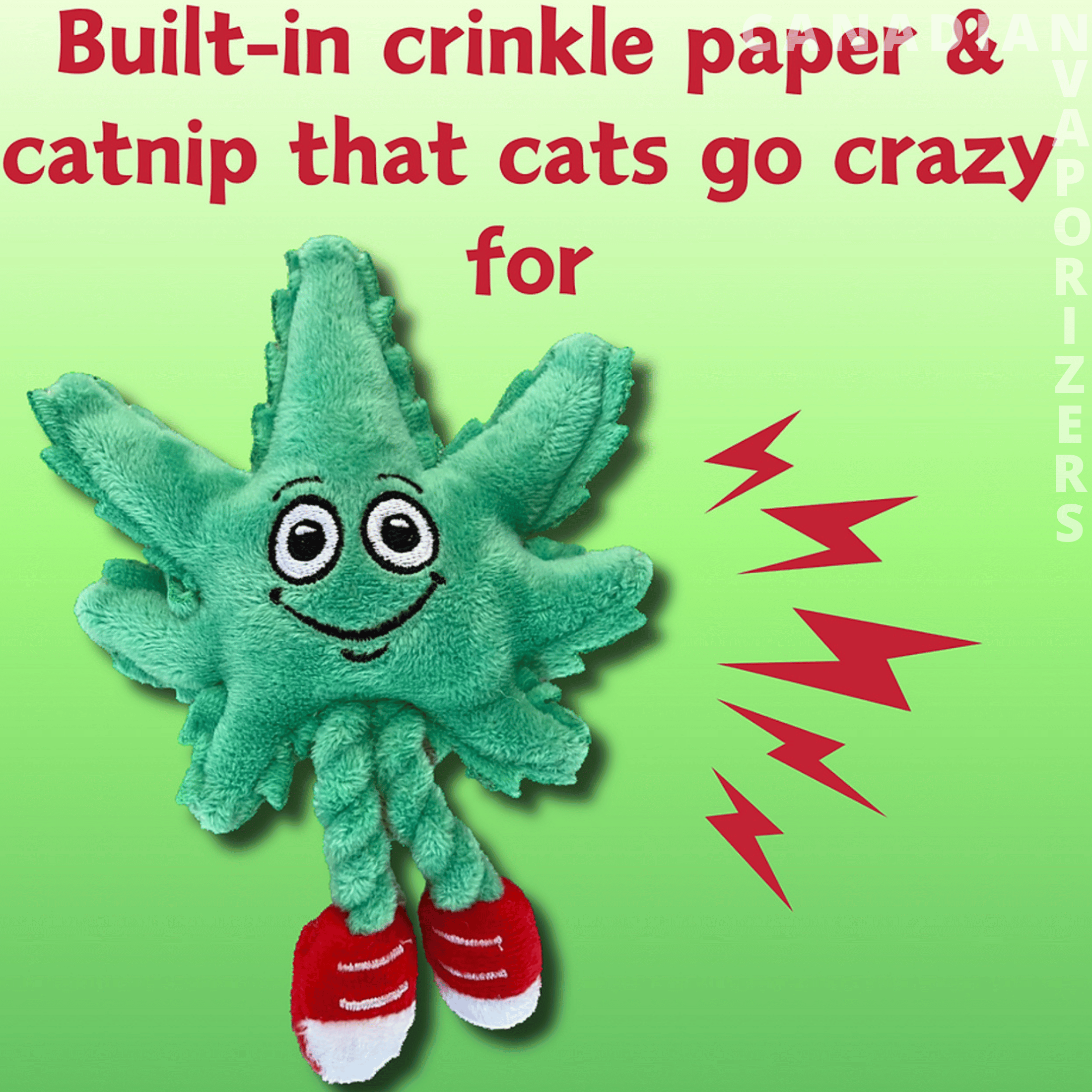 Catnip Cat Toy