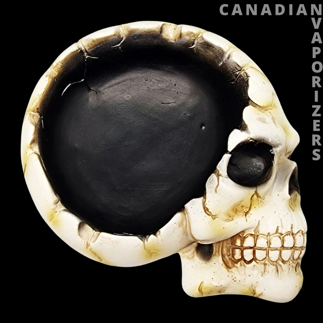 Open Skull Ashtray