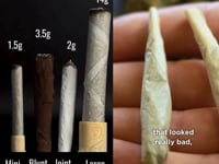 Purple Rose Supply CannaMold (All Kits)