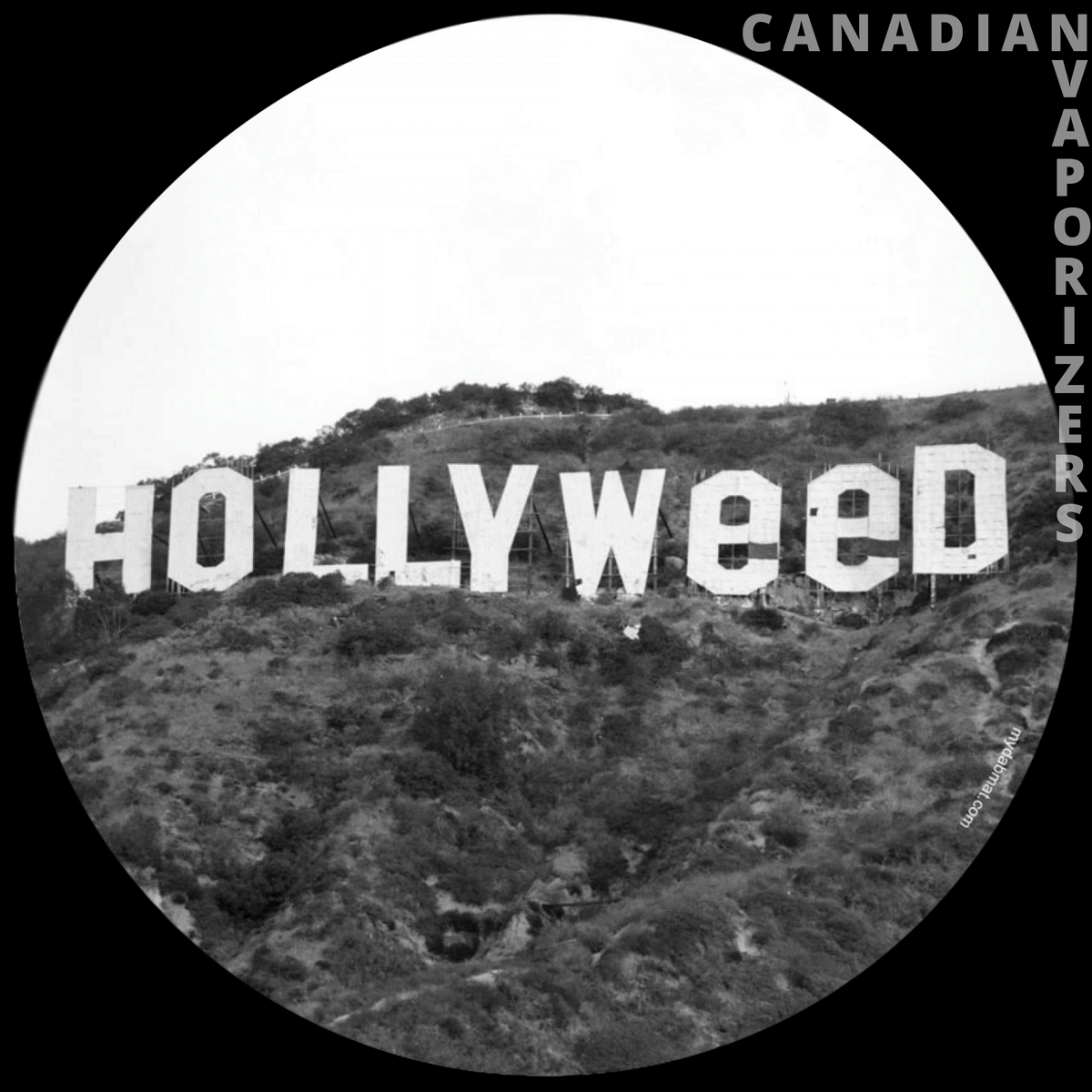 Hollyweed Dab Mat - Round black dab mat featuring a black-and-white Hollywood hills design with bold “Hollyweed” lettering.