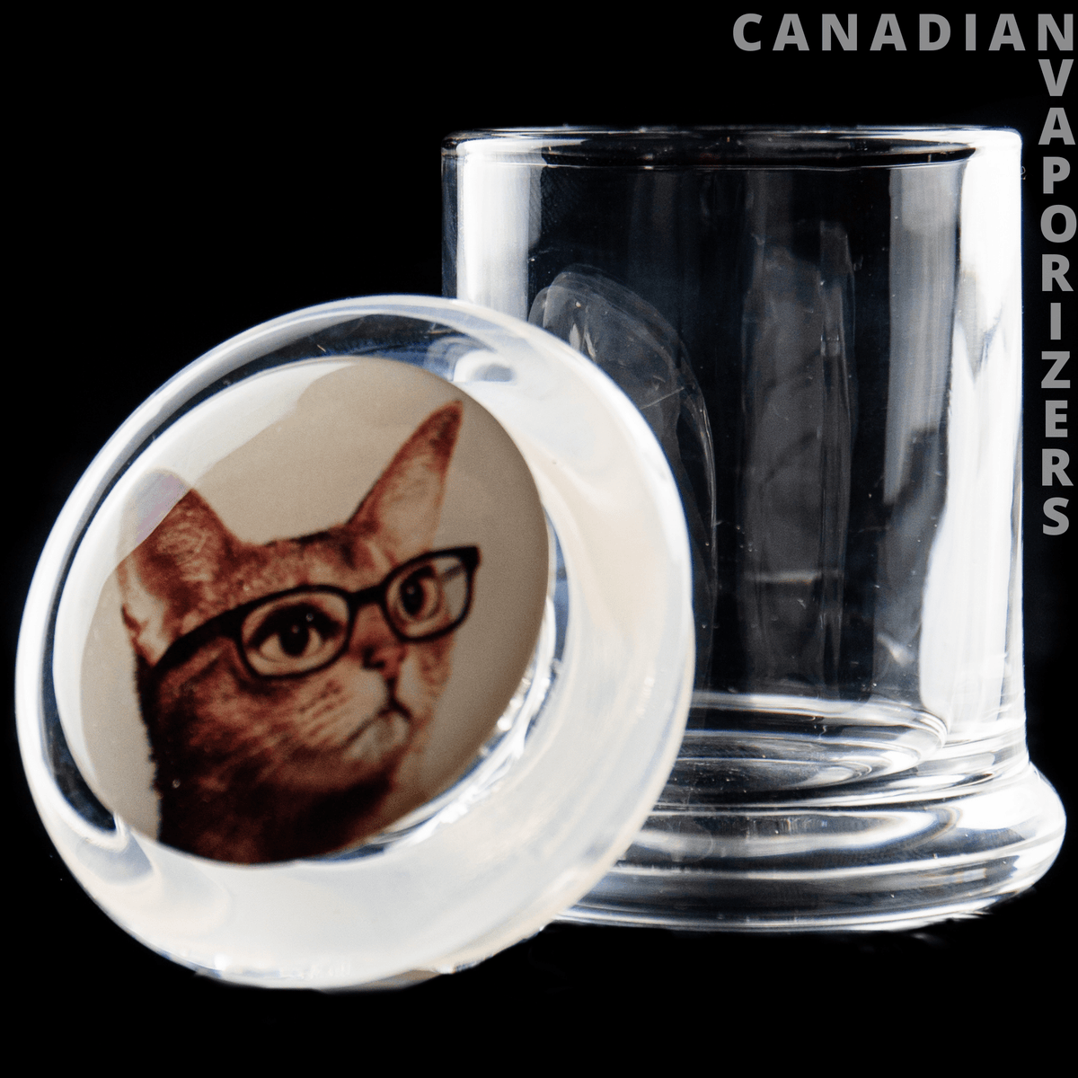 Kitten Stash Jar - Clear glass stash jar with a round lid featuring a brown kitten wearing black glasses.