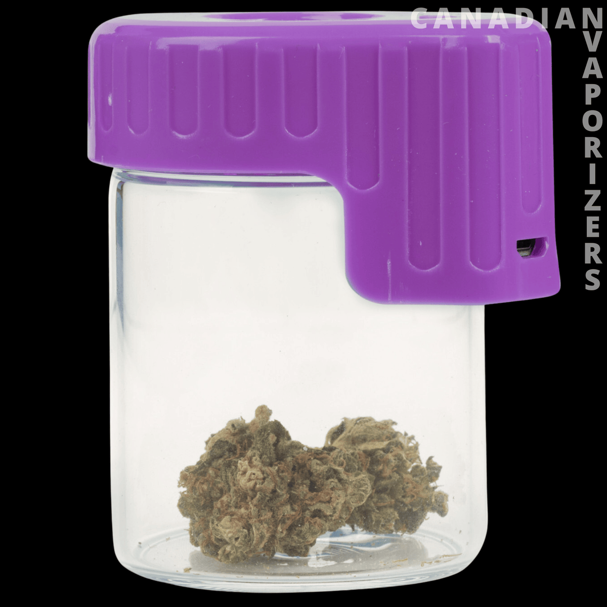 Light-Up Glass Seal Storage Jar - Clear glass storage jar with a ribbed purple seal-shaped lid and dried herbs inside.