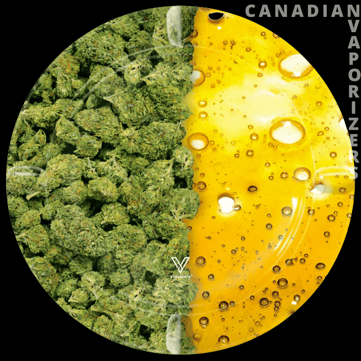 Oil &amp; Buds Metal Ashtray - Round metal ashtray featuring green cannabis buds and glossy golden oil with bubbles.