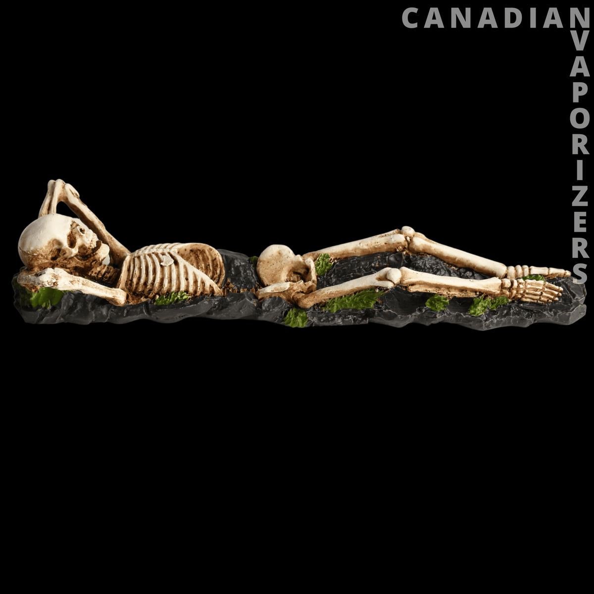Skeleton Incense Holder - Bone-colored skeleton incense holder lying on a dark rocky base with green moss accents.