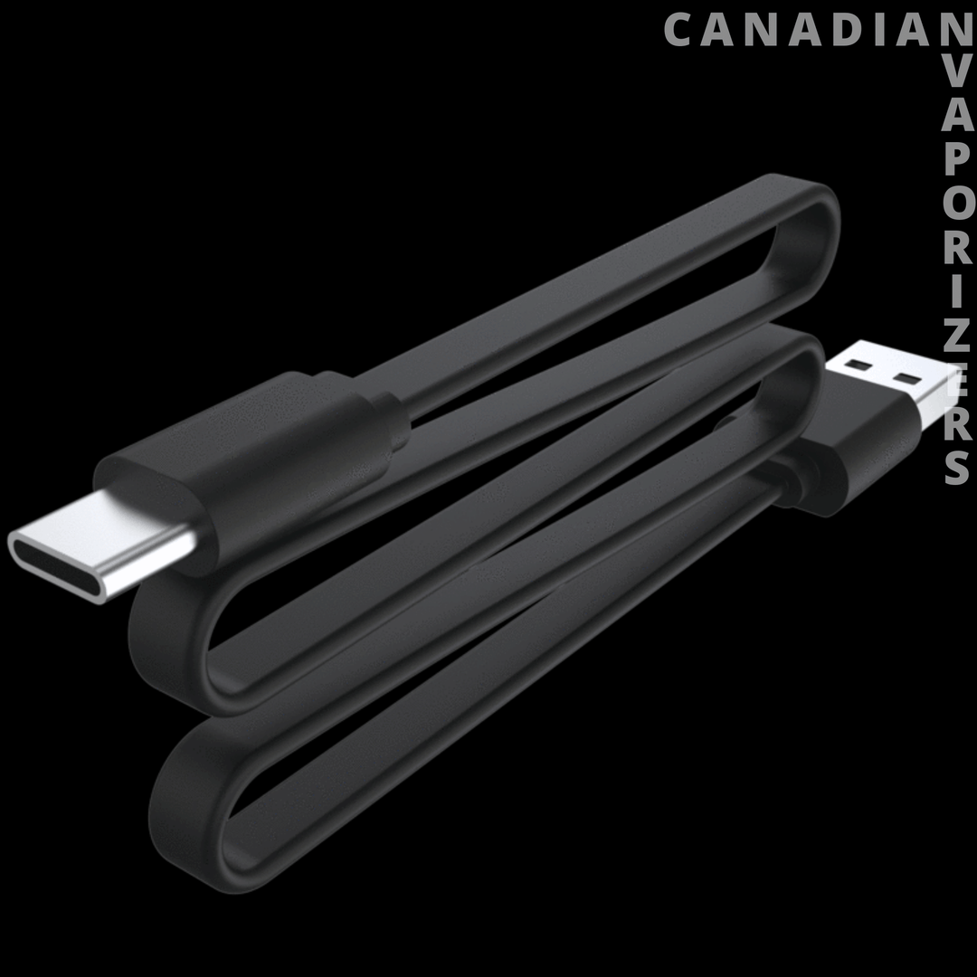 USB-C Charger & Block - Canadian Vaporizers